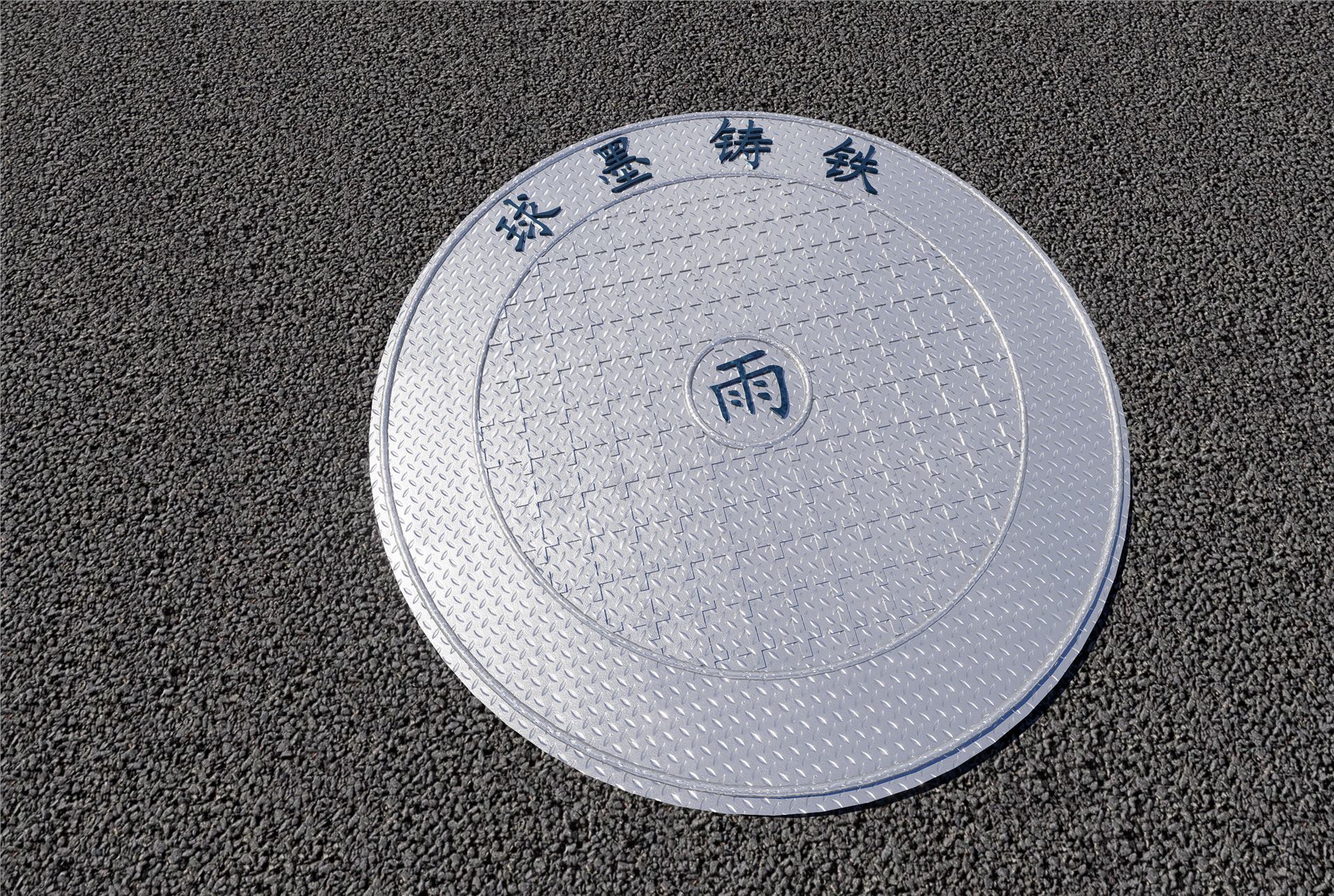 温州滨海净水厂配套进水管网工程（天瑞路（瓯景路-空港 BIM 应用成果图